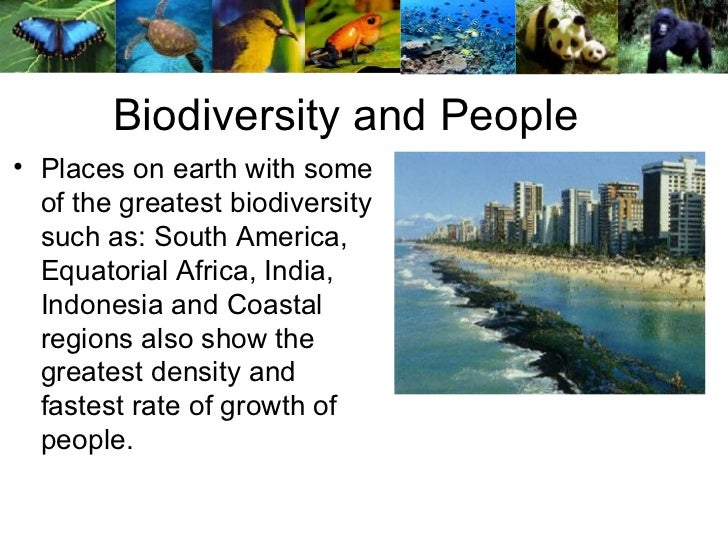Which biome has the most biodiversity?