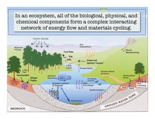 In an ecosystem, all of the biological, physical, and
 chemical components form a complex interacting
   network of energy ﬂow and materials cycling.
 