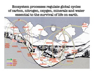 Ecosystem processes regulate global cycles
of carbon, nitrogen, oxygen, minerals and water
     essential to the survival of life on earth.
 