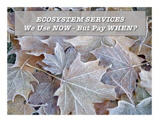 ECOSYSTEM SERVICES
We Use NOW - But Pay WHEN?
 