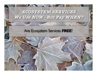 ECOSYSTEM SERVICES
We Use NOW - But Pay WHEN?

   Are Ecosystem Services FREE?
 