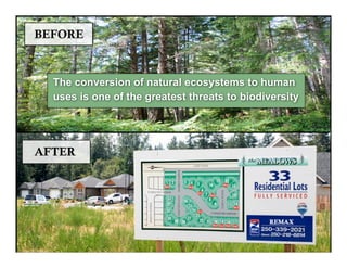 The conversion of natural ecosystems to human
uses is one of the greatest threats to biodiversity
 