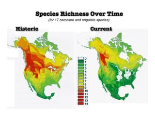 Species Richness Over Time
           (for 17 carnivore and ungulate species)

Historic                             Current
 