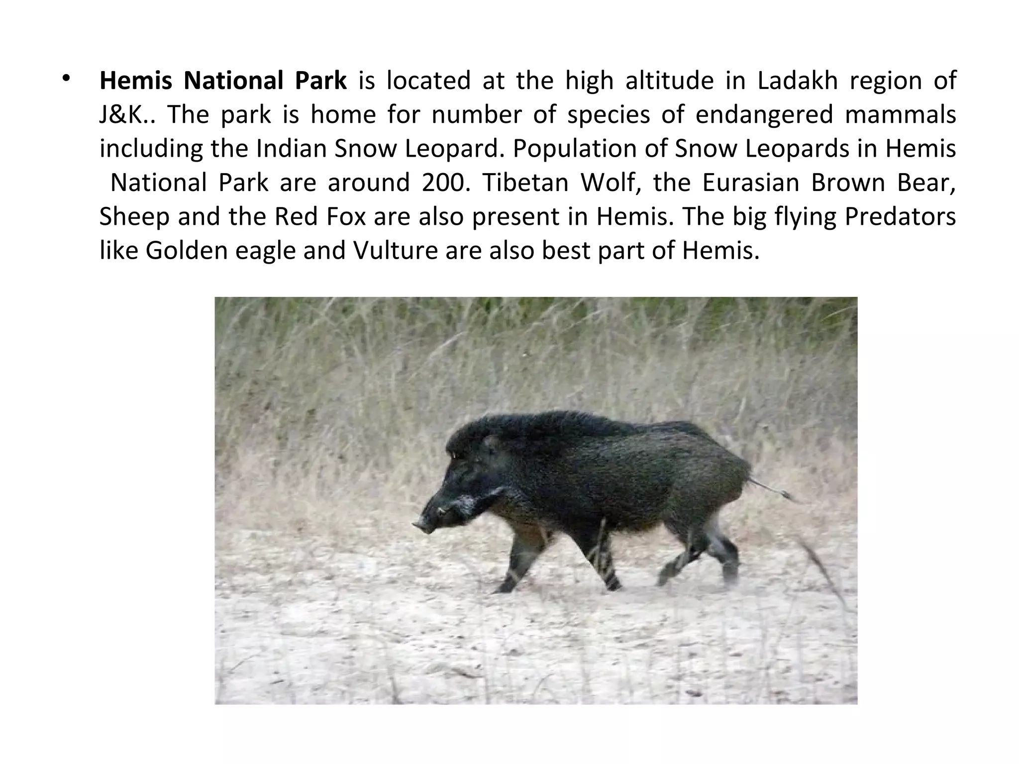 • Hemis National Park is located at the high altitude in Ladakh region of
J&K.. The park is home for number of species of endangered mammals
including the Indian Snow Leopard. Population of Snow Leopards in Hemis
National Park are around 200. Tibetan Wolf, the Eurasian Brown Bear,
Sheep and the Red Fox are also present in Hemis. The big flying Predators
like Golden eagle and Vulture are also best part of Hemis.
 