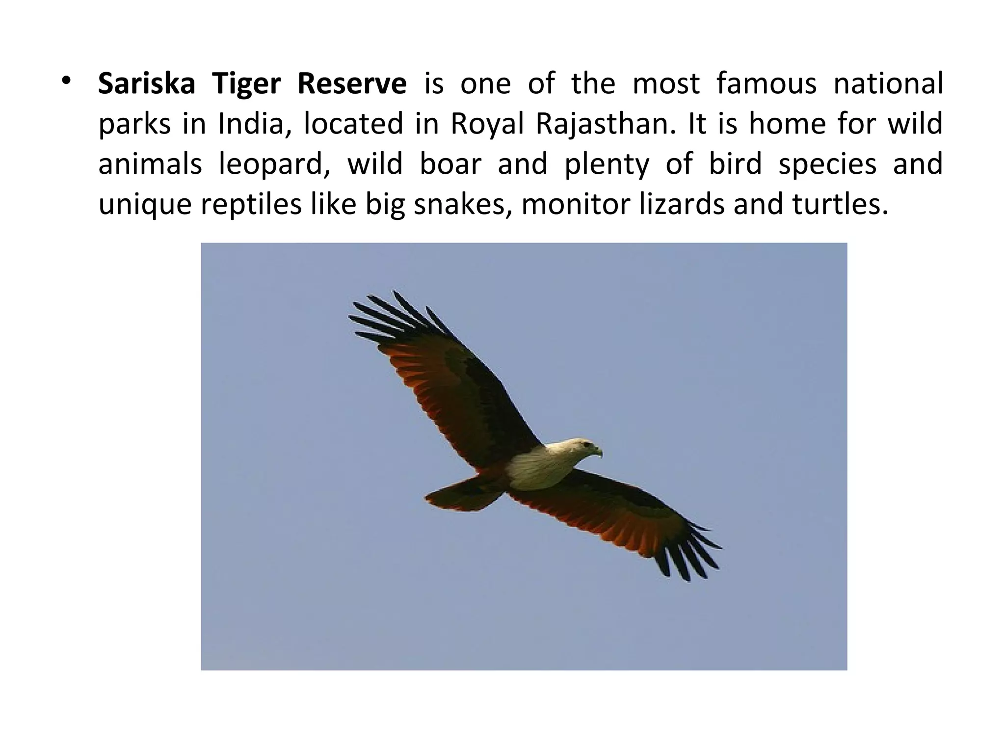 • Sariska Tiger Reserve is one of the most famous national
parks in India, located in Royal Rajasthan. It is home for wild
animals leopard, wild boar and plenty of bird species and
unique reptiles like big snakes, monitor lizards and turtles.
 