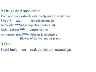 2.Drugs and medicines.
Plant and plant extracts extensively used in medicines.
Penicillin
Tetracyclin
Malarial drugs
penicillium (fungi)
Actinomycetes (bacterium)
Cinchona tree
Anticancer drugs Vinblastin & Vincristine
(flower of Cantharanthus plant)
3.Fuel
Fossil fuels coal, petroleum, natural gas
 