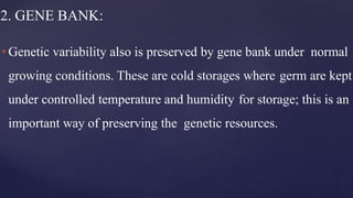 2. GENE BANK:
•Genetic variability also is preserved by gene bank under normal
growing conditions. These are cold storages where germ are kept
under controlled temperature and humidity for storage; this is an
important way of preserving the genetic resources.
 