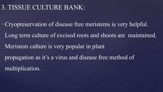 3. TISSUE CULTURE BANK:
•Cryopreservation of disease free meristems is very helpful.
Long term culture of excised roots and shoots are maintained.
Meristem culture is very popular in plant
propagation as it’s a virus and disease free method of
multiplication.
 