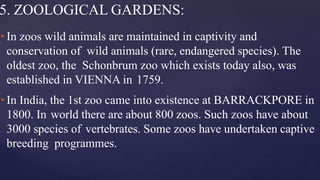 5. ZOOLOGICAL GARDENS:
•In zoos wild animals are maintained in captivity and
conservation of wild animals (rare, endangered species). The
oldest zoo, the Schonbrum zoo which exists today also, was
established in VIENNA in 1759.
•In India, the 1st zoo came into existence at BARRACKPORE in
1800. In world there are about 800 zoos. Such zoos have about
3000 species of vertebrates. Some zoos have undertaken captive
breeding programmes.
 