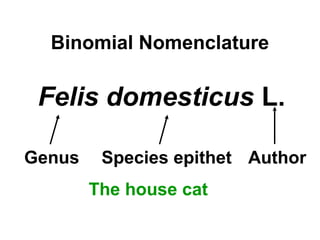 Binomial Nomenclature
Felis domesticus L.
Genus Species epithet Author
The house cat
 