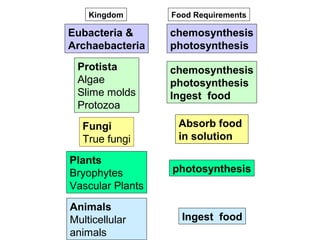 Eubacteria &
Archaebacteria
Protista
Algae
Slime molds
Protozoa
Fungi
True fungi
Plants
Bryophytes
Vascular Plants
Animals
Multicellular
animals
Absorb food
in solution
photosynthesis
Ingest food
Food Requirements
chemosynthesis
photosynthesis
chemosynthesis
photosynthesis
Ingest food
Kingdom
 