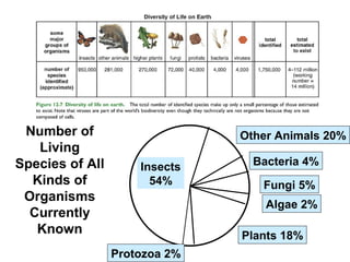 Number of
Living
Species of All
Kinds of
Organisms
Currently
Known
Insects
54%
Other Animals 20%
Bacteria 4%
Fungi 5%
Algae 2%
Plants 18%
Protozoa 2%
 