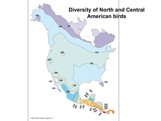 Diversity of North and Central
American birds
 
