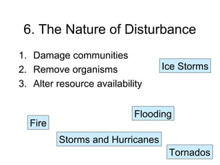 6. The Nature of Disturbance
1. Damage communities
2. Remove organisms
3. Alter resource availability
Fire
Flooding
Storms and Hurricanes
Tornados
Ice Storms
 