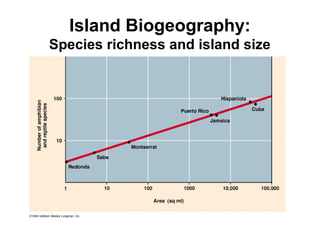 Island Biogeography:
Species richness and island size
 