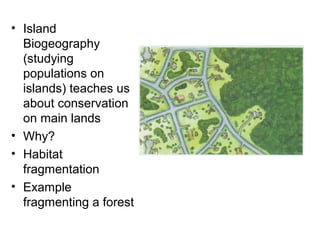 • Island
Biogeography
(studying
populations on
islands) teaches us
about conservation
on main lands
• Why?
• Habitat
fragmentation
• Example
fragmenting a forest
 