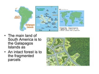 • The main land of
South America is to
the Galapagos
Islands as
• An intact forest is to
the fragmented
parcels
 