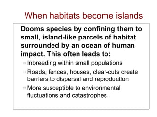 Dooms species by confining them to
small, island-like parcels of habitat
surrounded by an ocean of human
impact. This often leads to:
– Inbreeding within small populations
– Roads, fences, houses, clear-cuts create
barriers to dispersal and reproduction
– More susceptible to environmental
fluctuations and catastrophes
When habitats become islands
 
