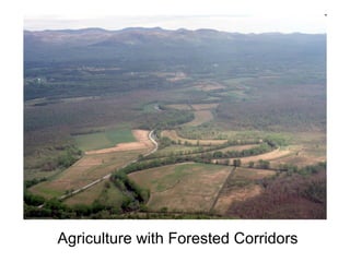 Agriculture with Forested Corridors
 