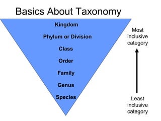 Basics About Taxonomy
Kingdom
Phylum or Division
Class
Order
Family
Genus
Species
Most
inclusive
category
Least
inclusive
category
 