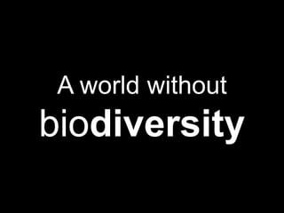 A world without biodiversity 