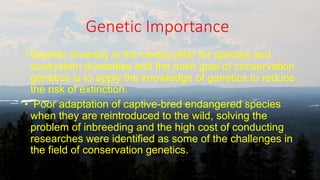 Genetic Importance
• Genetic diversity is the centre pillar for species and
ecosystem diversities and the main goal of conservation
genetics is to apply the knowledge of genetics to reduce
the risk of extinction.
• Poor adaptation of captive-bred endangered species
when they are reintroduced to the wild, solving the
problem of inbreeding and the high cost of conducting
researches were identified as some of the challenges in
the field of conservation genetics.
15
 