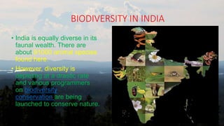 BIODIVERSITY IN INDIA
• India is equally diverse in its
faunal wealth. There are
about 91000 animal species
found here.
• However, diversity is
depleting at a drastic rate
and various programmers
on biodiversity
conservation are being
launched to conserve nature.
24
 