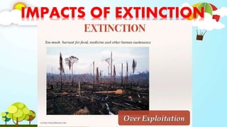 IMPACTS OF EXTINCTION
 