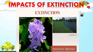 IMPACTS OF EXTINCTION
 