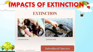 IMPACTS OF EXTINCTION
 