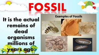 It is the actual
remains of
dead
organisms
millions of
years ago.
 