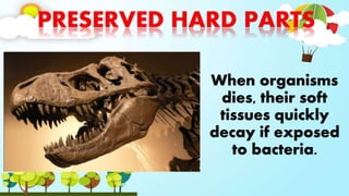 When organisms
dies, their soft
tissues quickly
decay if exposed
to bacteria.
 