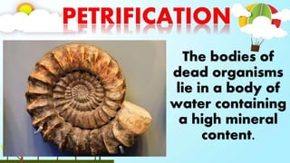 The bodies of
dead organisms
lie in a body of
water containing
a high mineral
content.
 