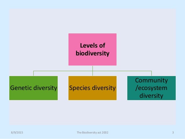 Biodiversity Act 2002