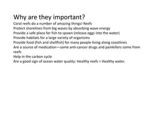 Why are they important?
Coral reefs do a number of amazing things! Reefs
Protect shorelines from big waves by absorbing wave energy
Provide a safe place for fish to spawn (release eggs into the water)
Provide habitats for a large variety of organisms
Provide food (fish and shellfish) for many people living along coastlines
Are a source of medication—some anti-cancer drugs and painkillers come from
reefs
Help in the carbon cycle
Are a good sign of ocean water quality: Healthy reefs = Healthy water.
 