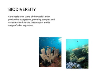 BIODIVERSITY
Coral reefs form some of the world's most
productive ecosystems, providing complex and
variedmarine habitats that support a wide
range of other organisms
 