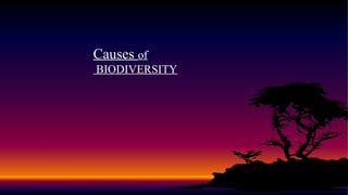 Causes of
BIODIVERSITY
 