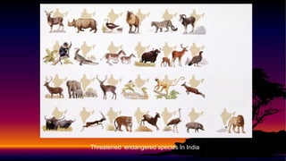 Threatened endangered species In India
 