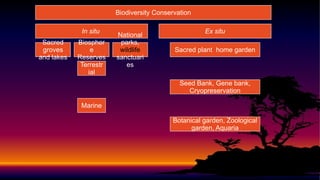 Biodiversity Conservation
In situ
Sacred
groves
and lakes
Biospher
e
Reserves
Terrestr
ial
Marine
National
parks,
wildlife
sanctuari
es
Ex situ
Sacred plant home garden
Seed Bank, Gene bank,
Cryopreservation
Botanical garden, Zoological
garden, Aquaria
 