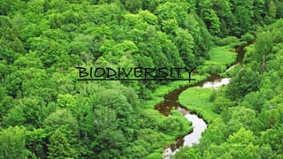 BIODIVERSITY
.
 