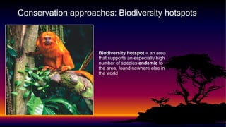 Biodiversity hotspot = an area
that supports an especially high
number of species endemic to
the area, found nowhere else in
the world
Conservation approaches: Biodiversity hotspots
 