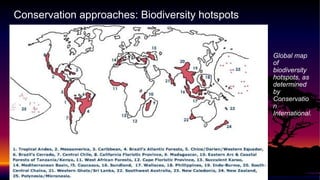 Global map
of
biodiversity
hotspots, as
determined
by
Conservatio
n
International.
Conservation approaches: Biodiversity hotspots
 