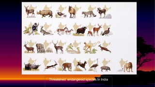 Biodiversity and its Conservation | PPTX