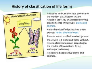 History of classification of life forms
Aristotle's and Carl Linnaeus gave rise to
the modern classification system.
Aristotle (384-322 BCE) classified living
organisms into two groups: plants and
animals.
He further classified plants into three
groups: herbs, shrubs or trees.
Animals were classified into two groups:
those with red blood and those without.
He also classified animals according to
the modes of locomotion: flying,
walking or swimming.
He classified about 1000 plants and
animals.
 