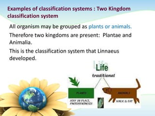 Examples of classification systems : Two Kingdom
classification system
All organism may be grouped as plants or animals.
Therefore two kingdoms are present: Plantae and
Animalia.
This is the classification system that Linnaeus
developed.
 