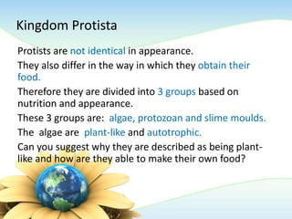 Kingdom Protista
Protists are not identical in appearance.
They also differ in the way in which they obtain their
food.
Therefore they are divided into 3 groups based on
nutrition and appearance.
These 3 groups are: algae, protozoan and slime moulds.
The algae are plant-like and autotrophic.
Can you suggest why they are described as being plant-
like and how are they able to make their own food?
 