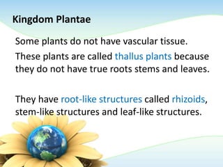 Kingdom Plantae
Some plants do not have vascular tissue.
These plants are called thallus plants because
they do not have true roots stems and leaves.
They have root-like structures called rhizoids,
stem-like structures and leaf-like structures.
 