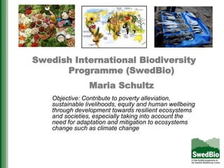 Swedish International Biodiversity
Programme (SwedBio)
Maria Schultz
Objective: Contribute to poverty alleviation,
sustainable livelihoods, equity and human wellbeing
through development towards resilient ecosystems
and societies, especially taking into account the
need for adaptation and mitigation to ecosystems
change such as climate change
 