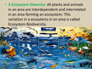 • 3.Ecosystem Diversity: All plants and animals
in an area are interdependent and interrelated
in an area forming an ecosystem. This
variation in a ecosytems in an area is called
Ecosystem Biodiversity.
 