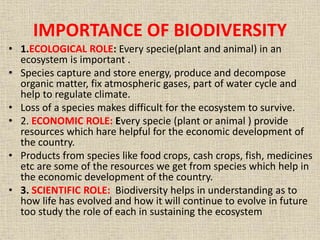 IMPORTANCE OF BIODIVERSITY
• 1.ECOLOGICAL ROLE: Every specie(plant and animal) in an
ecosystem is important .
• Species capture and store energy, produce and decompose
organic matter, fix atmospheric gases, part of water cycle and
help to regulate climate.
• Loss of a species makes difficult for the ecosystem to survive.
• 2. ECONOMIC ROLE: Every specie (plant or animal ) provide
resources which hare helpful for the economic development of
the country.
• Products from species like food crops, cash crops, fish, medicines
etc are some of the resources we get from species which help in
the economic development of the country.
• 3. SCIENTIFIC ROLE: Biodiversity helps in understanding as to
how life has evolved and how it will continue to evolve in future
too study the role of each in sustaining the ecosystem
 
